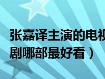 张嘉译主演的电视有哪些（张嘉译主演的电视剧哪部最好看）