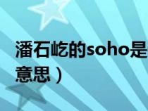 潘石屹的soho是什么公司（潘石屹soho什么意思）