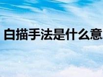 白描手法是什么意思诗歌（白描手法是什么）