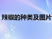 辣椒的种类及图片介绍（辣椒的种类及特点）