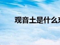 观音土是什么东西?（观音土是什么）