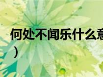 何处不闻乐什么意思（何处闻灯不看来上一句）