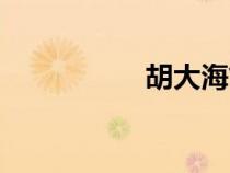胡大海简介（胡大海）