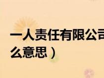 一人责任有限公司是什么意思（有限公司是什么意思）