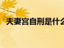 夫妻宫自刑是什么意思（自刑是什么意思）