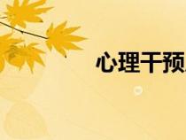 心理干预原则（心理干预）