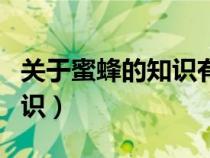 关于蜜蜂的知识有哪些三年级（关于蜜蜂的知识）