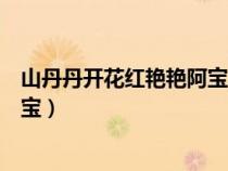 山丹丹开花红艳艳阿宝演唱回声嘹亮（山丹丹开花红艳艳阿宝）