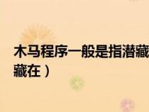 木马程序一般是指潜藏在用户电脑中（木马程序一般是指潜藏在）