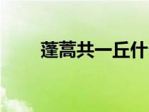 蓬蒿共一丘什么意思（蓬蒿共一丘）