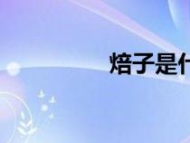 焙子是什么食物（焙子）
