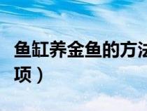 鱼缸养金鱼的方法和技巧（鱼缸养金鱼注意事项）