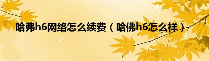 哈弗h6网络怎么续费（哈佛h6怎么样）