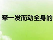 牵一发而动全身的后一句（牵一发而动全身）