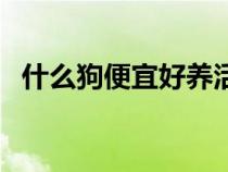 什么狗便宜好养活（什么狗最好养又便宜）