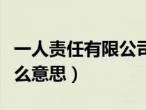 一人责任有限公司是什么意思（有限公司是什么意思）