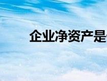企业净资产是什么（净资产是什么）
