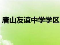唐山友谊中学学区房有哪些（唐山友谊中学）