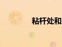 粘杆处和血滴子（粘杆处）
