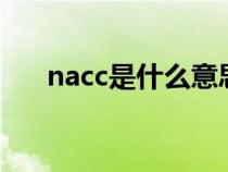 nacc是什么意思篮球（NACC是什么）