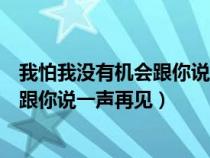 我怕我没有机会跟你说一声再见是哪首歌（我怕我没有机会跟你说一声再见）