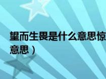 望而生畏是什么意思惊叹不已是什么意思（望而生畏是什么意思）