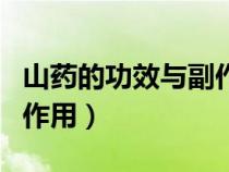 山药的功效与副作用禁忌症（山药的功效与副作用）