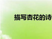 描写杏花的诗句（描写桃花的诗句）