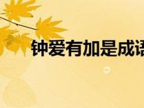 钟爱有加是成语吗（钟爱有加的意思）