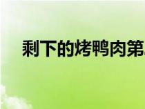 剩下的烤鸭肉第二天怎么做好吃（剩下）