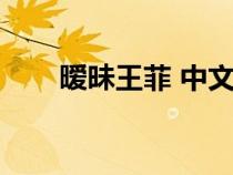 暧昧王菲 中文版叫什么（暧昧王菲）