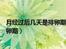 月经过后几天是排卵期容易怀孕是男孩（月经过后几天是排卵期）