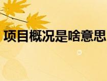 项目概况是啥意思（项目概况包括哪些内容）