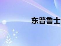 东普鲁士战役（东普鲁士）