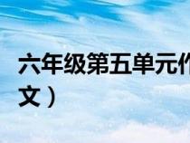 六年级第五单元作文上册（六年级第五单元作文）