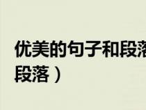 优美的句子和段落的作文摘抄（优美的句子和段落）