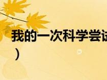我的一次科学尝试300字（我的一次科学尝试）