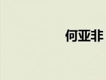 何亚非 出席（何亚非）