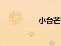 小台芒图片（小台芒）
