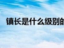 镇长是什么级别的干部（镇长是什么级别）