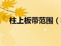 柱上板带范围（柱上板带是什么意思啊）