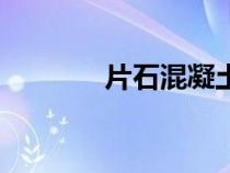 片石混凝土施工工艺（片石）