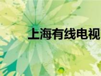 上海有线电视官网（上海有线电视）