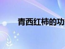 青西红柿的功效和作用（青西红柿）