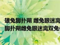 雄兔脚扑朔 雌兔眼迷离 双兔傍地走 安能辨我是雄雌?（雄兔脚扑朔雌兔眼迷离双兔傍地走安能辨我是雄雌）