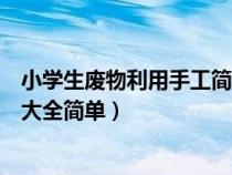 小学生废物利用手工简单又漂亮（小学生废物利用手工制作大全简单）