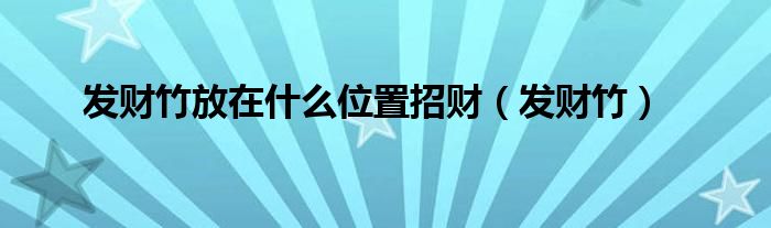 发财竹放在什么位置招财（发财竹）