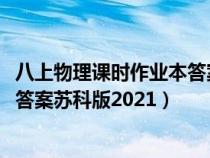 八上物理课时作业本答案苏科版2022（八下物理课时作业本答案苏科版2021）