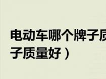 电动车哪个牌子质量好还便宜（电动车哪个牌子质量好）