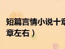 短篇言情小说十章左右孽情（短篇言情小说十章左右）